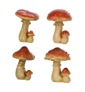 Mushroom L ass.