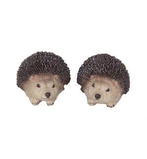 Hedgehog XS ass.
