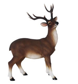 Red deer standing L