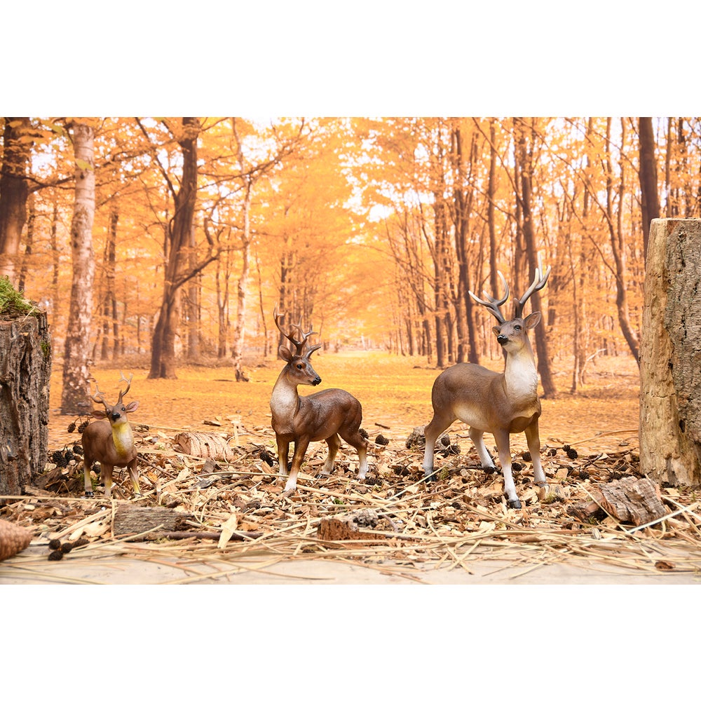 Red Deer M