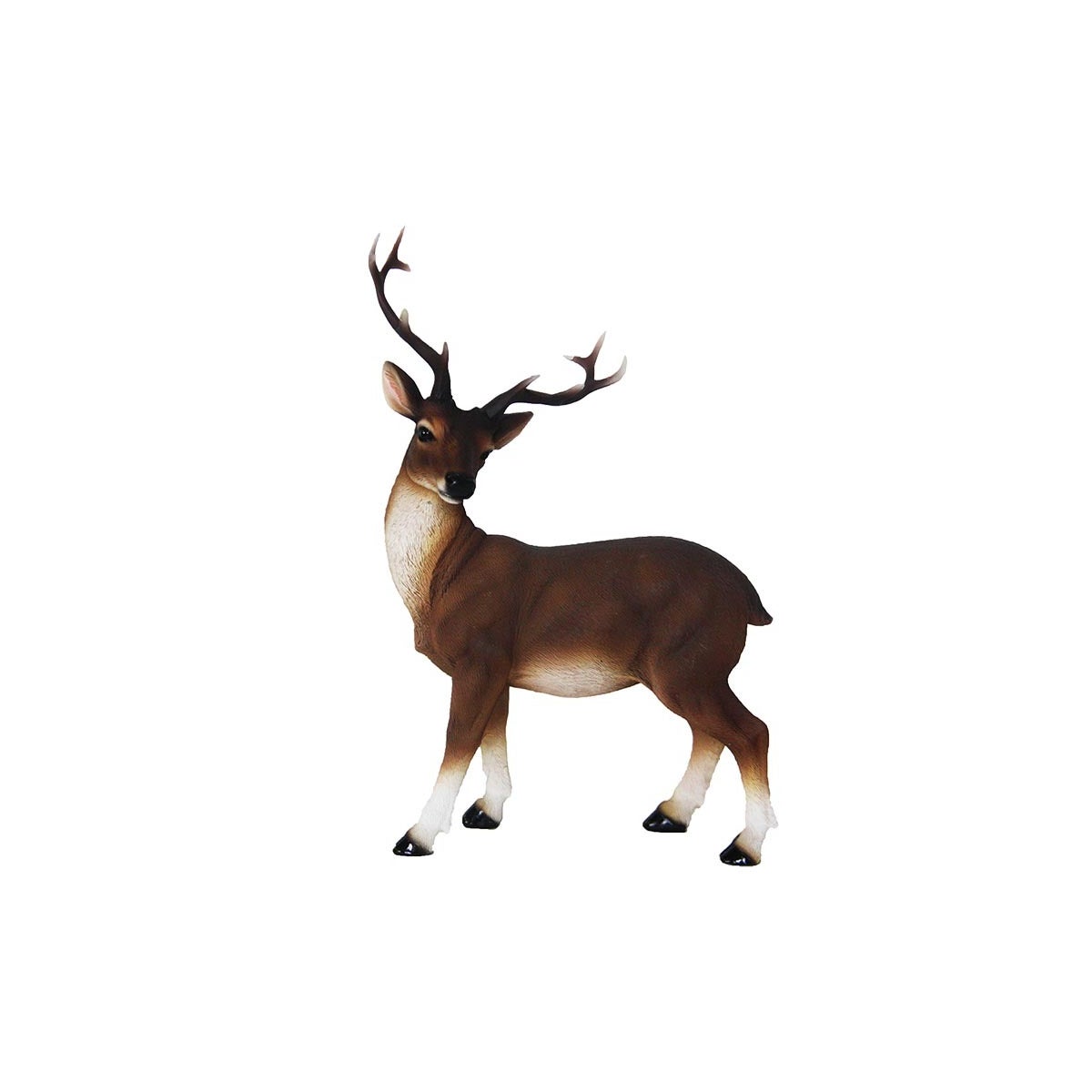 Red Deer M