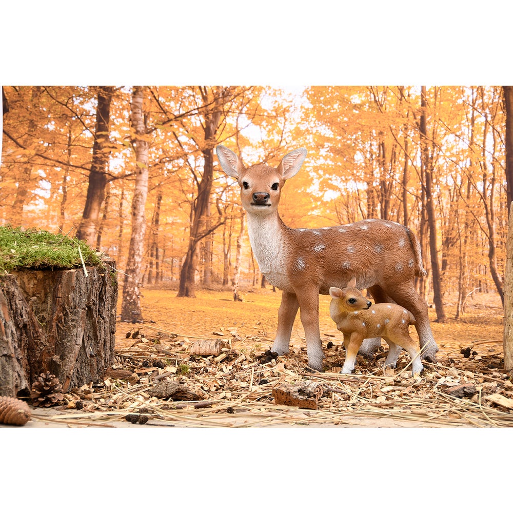 Fawn