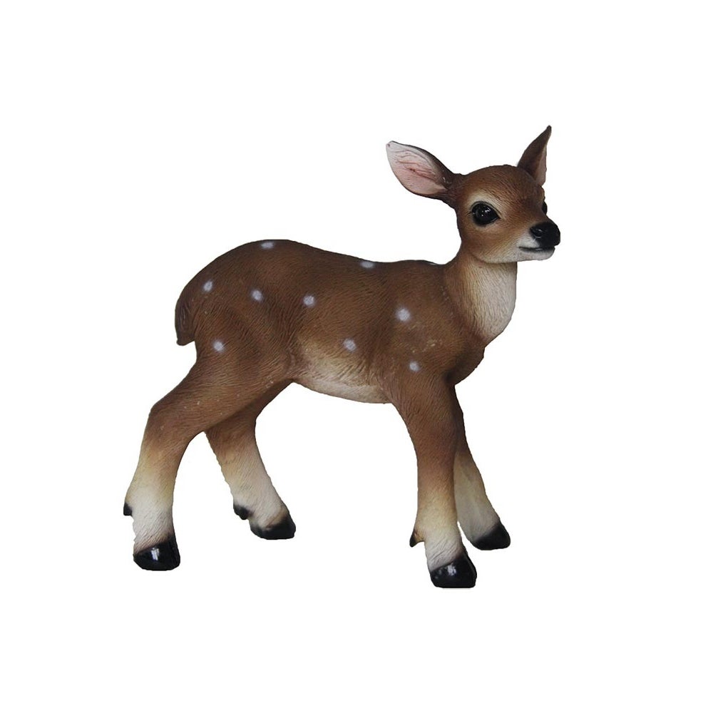 Fawn