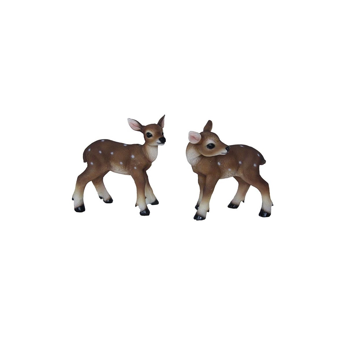 Fawn