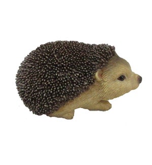 Hedgehog S