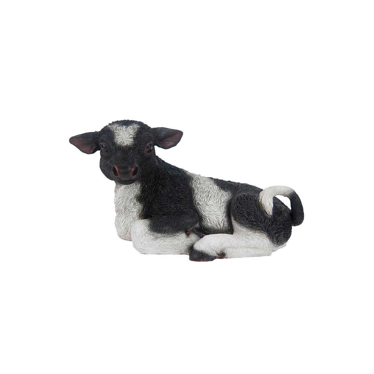 Lying Calf S