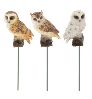 Owl On Pole
