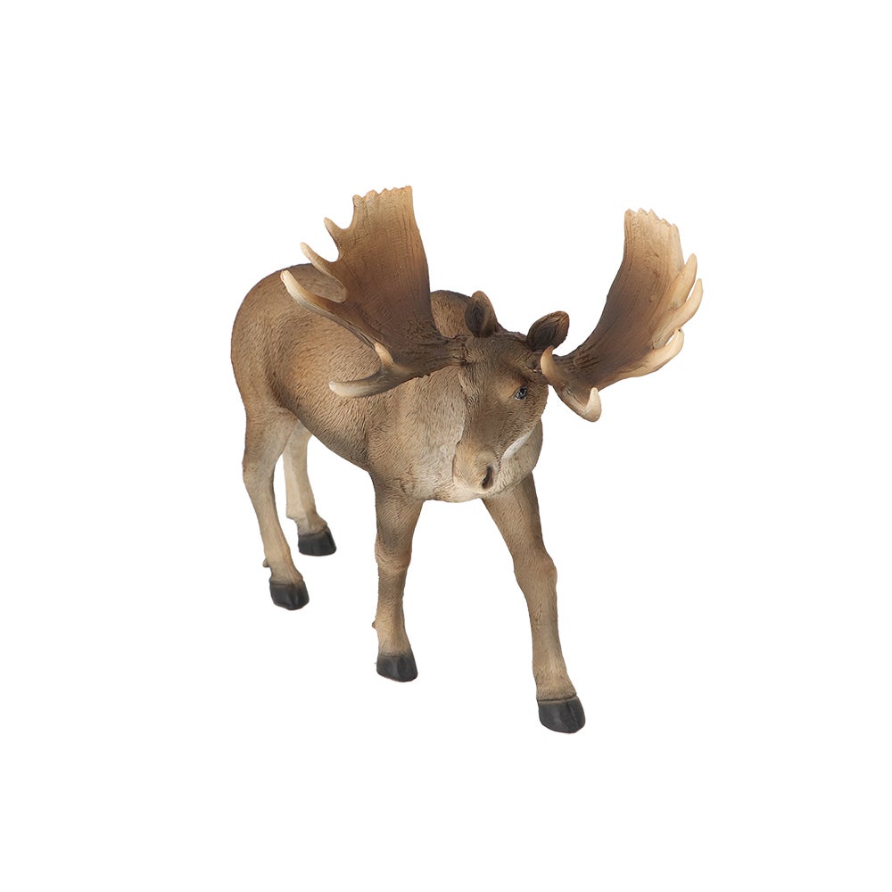 Moose