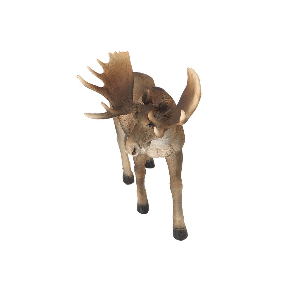 Moose