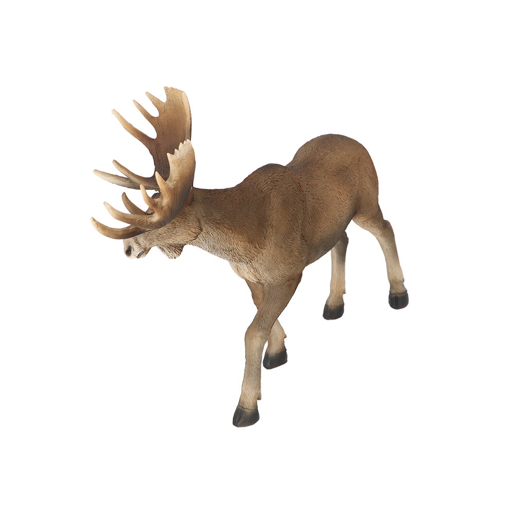 Moose