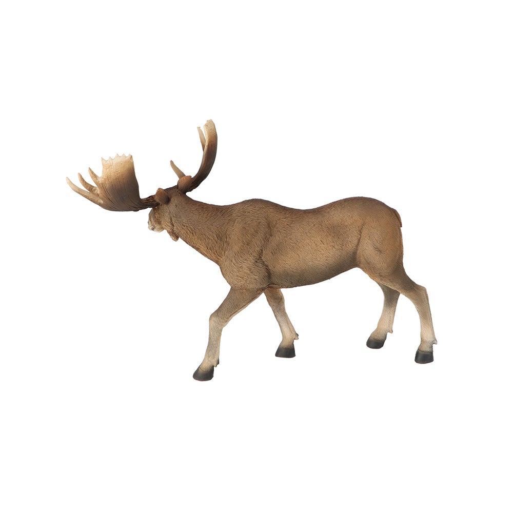 Moose
