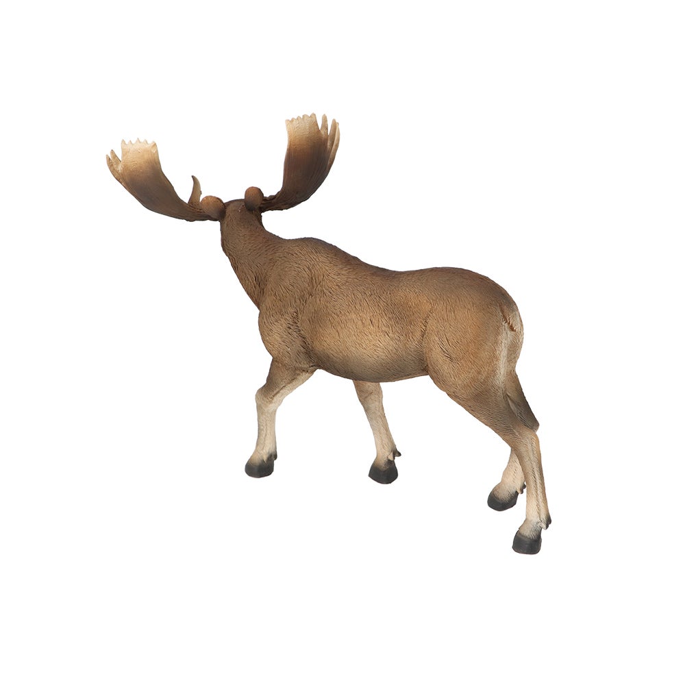 Moose