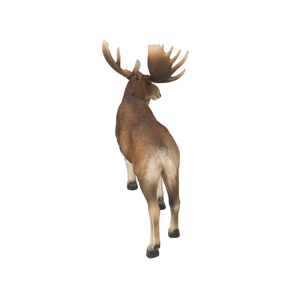Moose