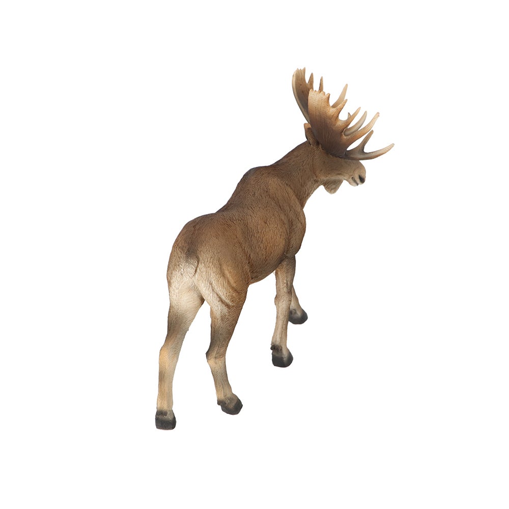 Moose