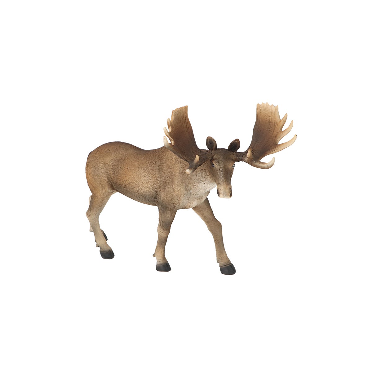 Moose