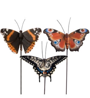 Butterfly on pole ass.
