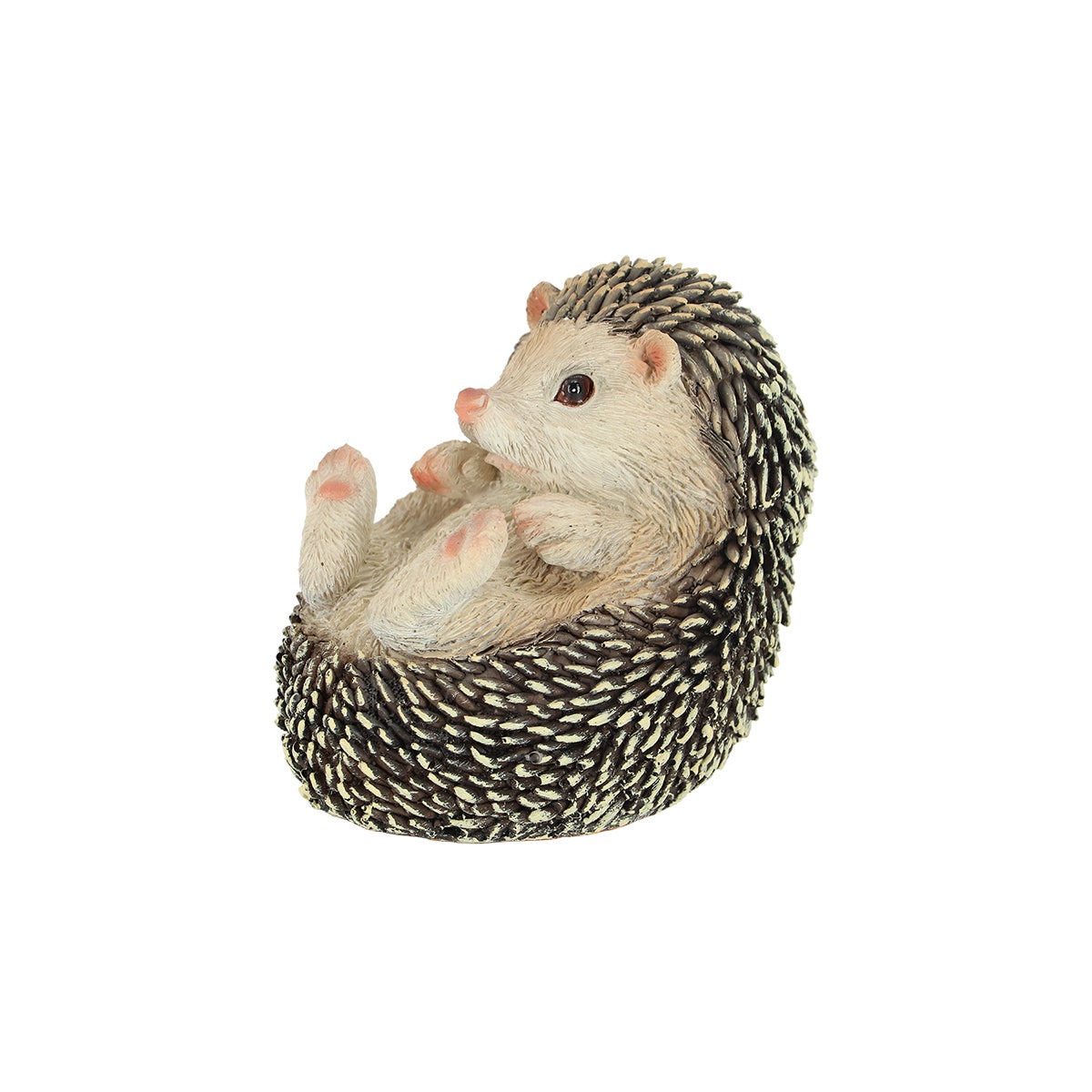 Hedgehog On Its Back