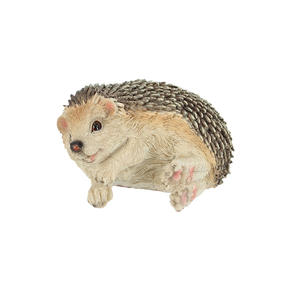 Hedgehog On Its Side