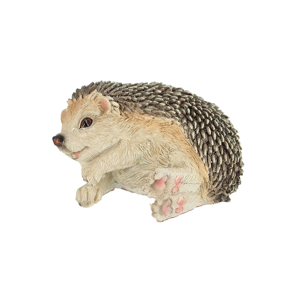 Hedgehog On Its Side