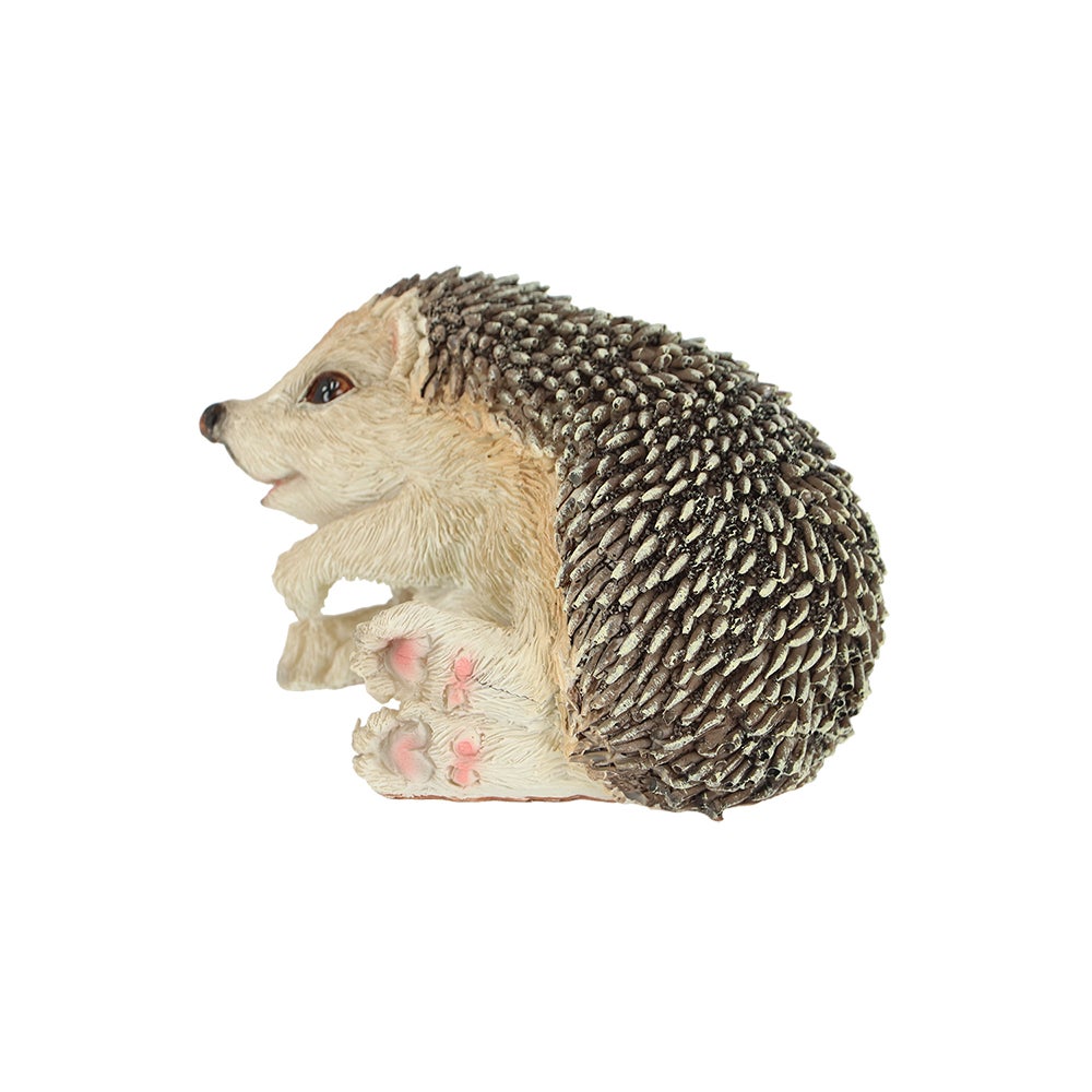 Hedgehog On Its Side