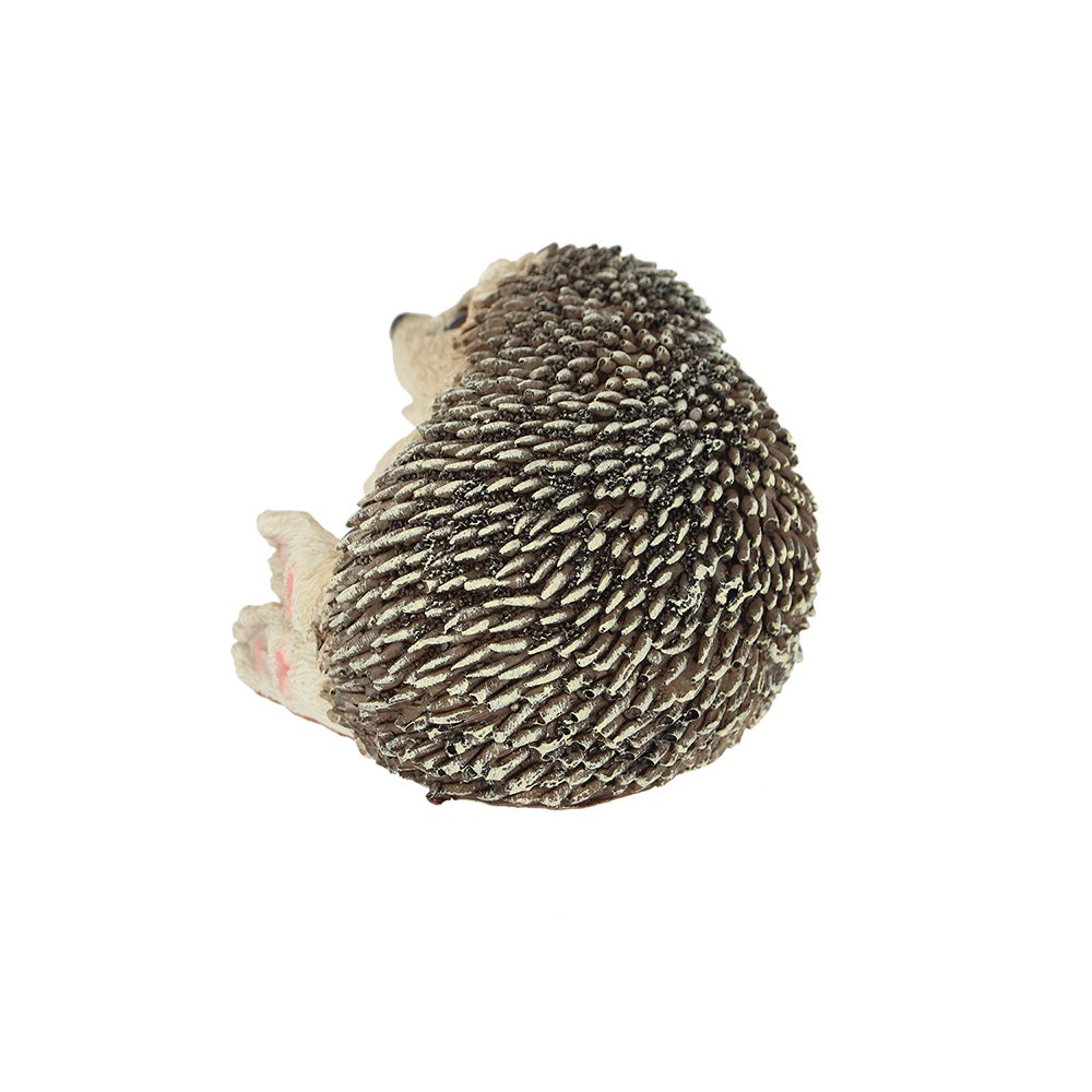 Hedgehog On Its Side