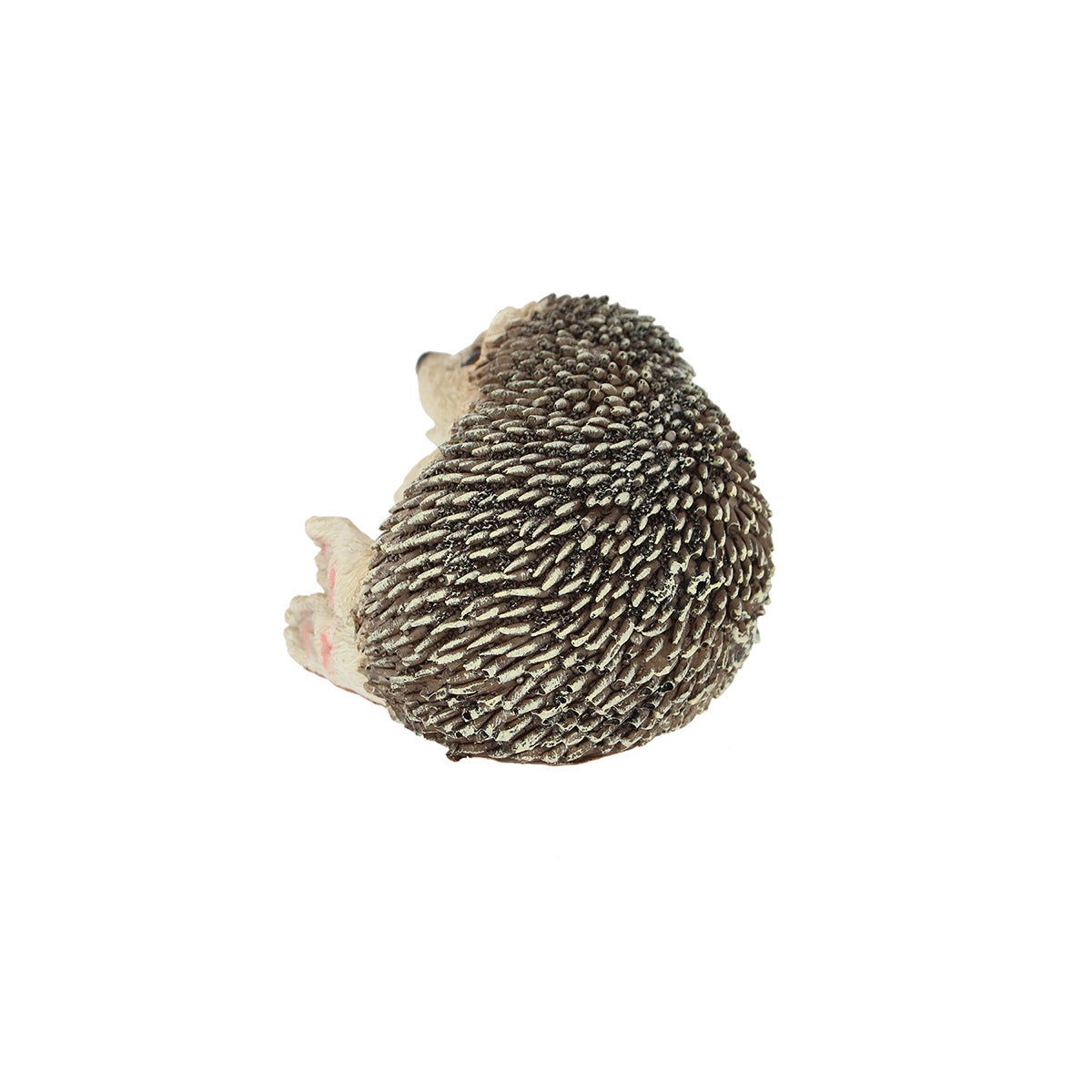 Hedgehog On Its Side