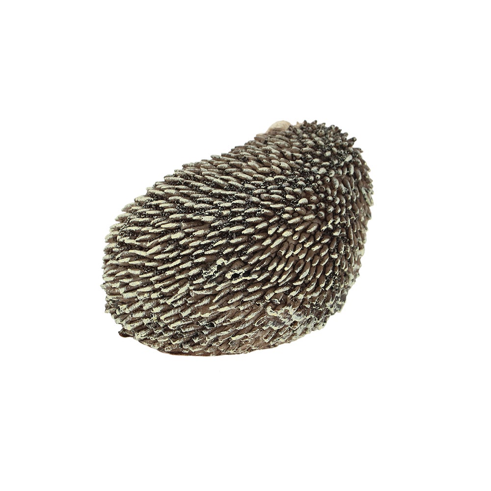 Hedgehog On Its Side