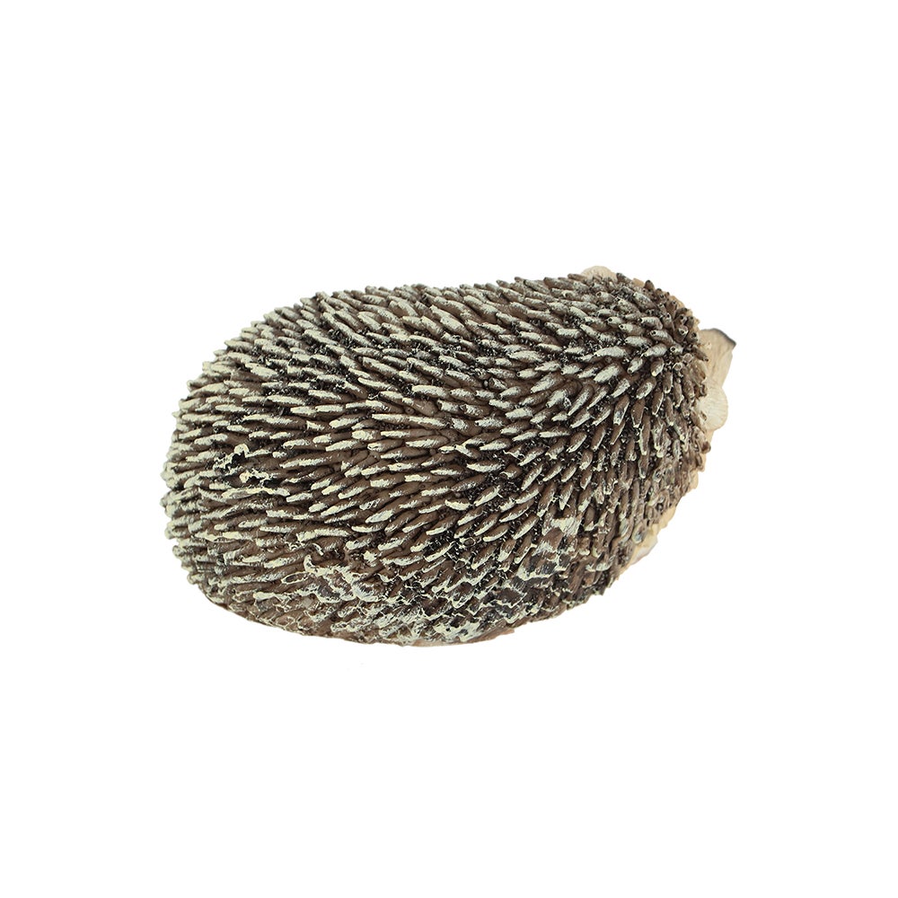 Hedgehog On Its Side