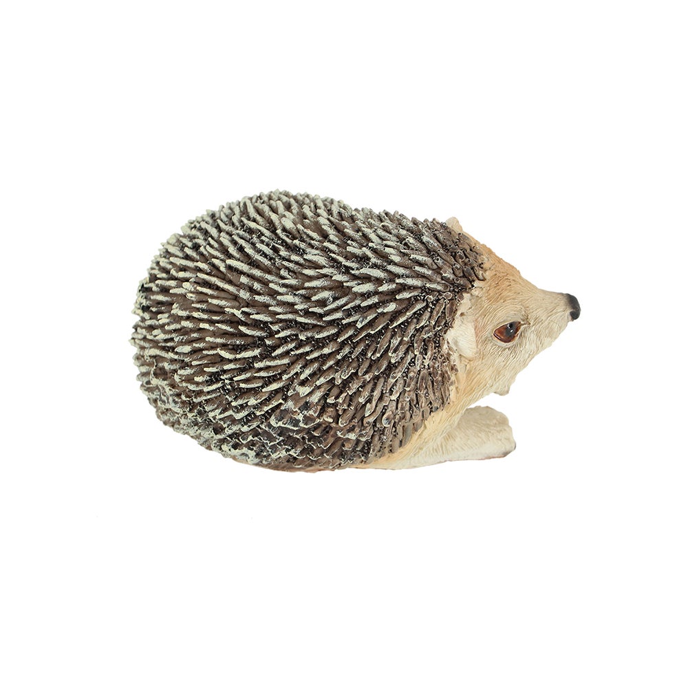 Hedgehog On Its Side