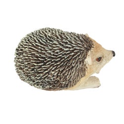 Hedgehog On Its Side