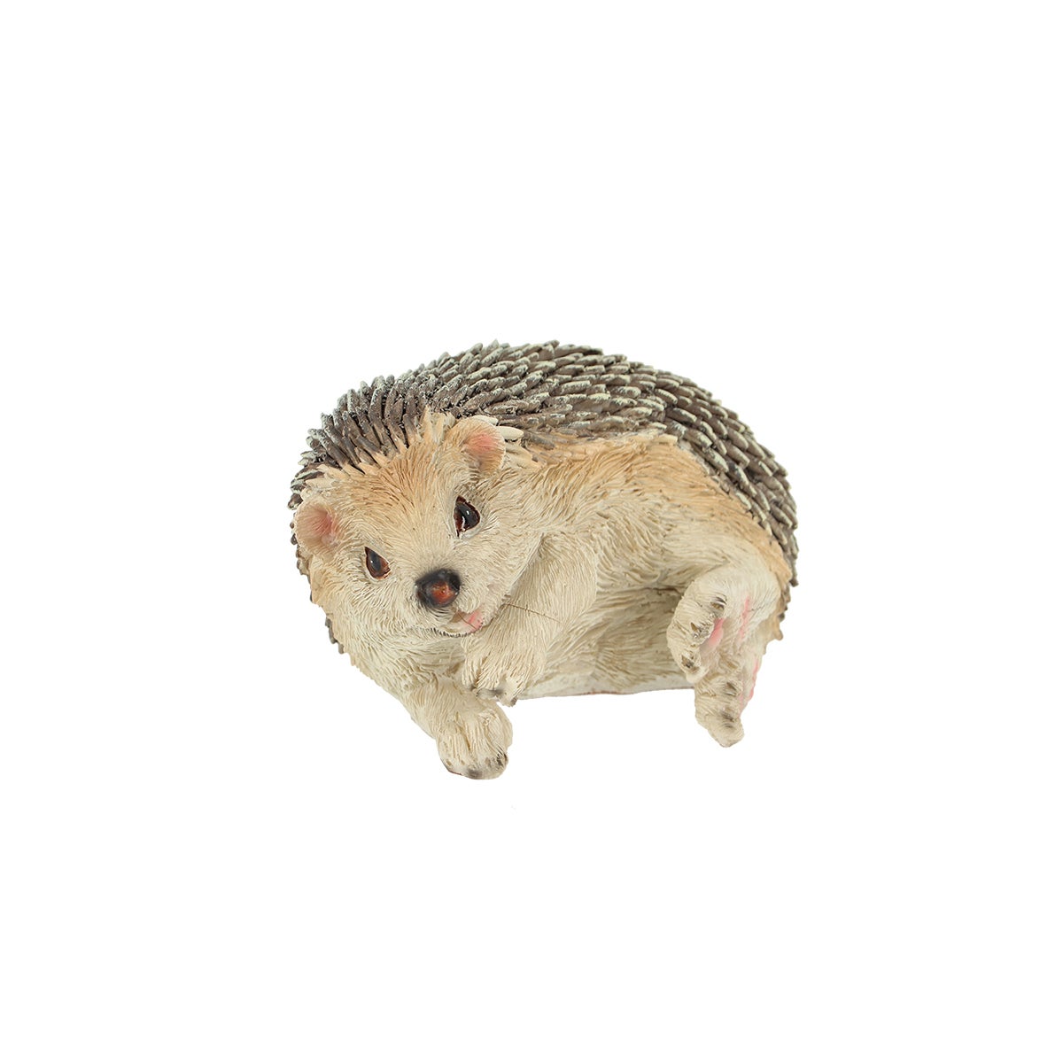 Hedgehog On Its Side