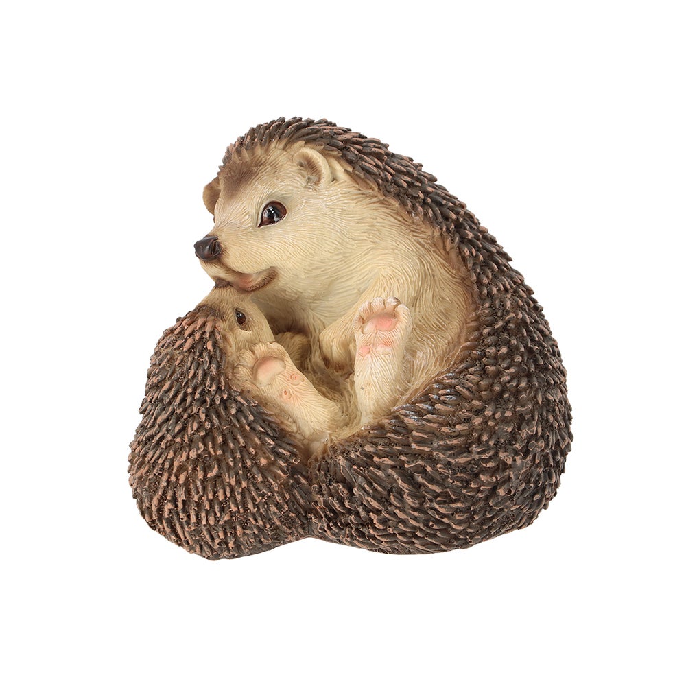 Hedgehog Lying Down With Baby