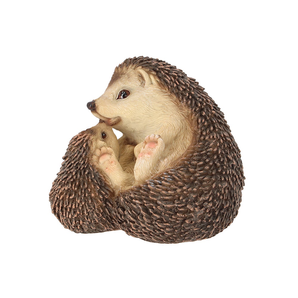 Hedgehog Lying Down With Baby
