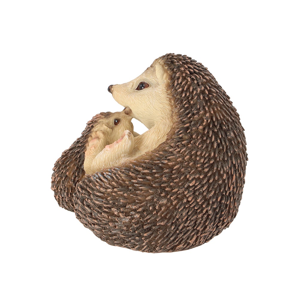 Hedgehog Lying Down With Baby