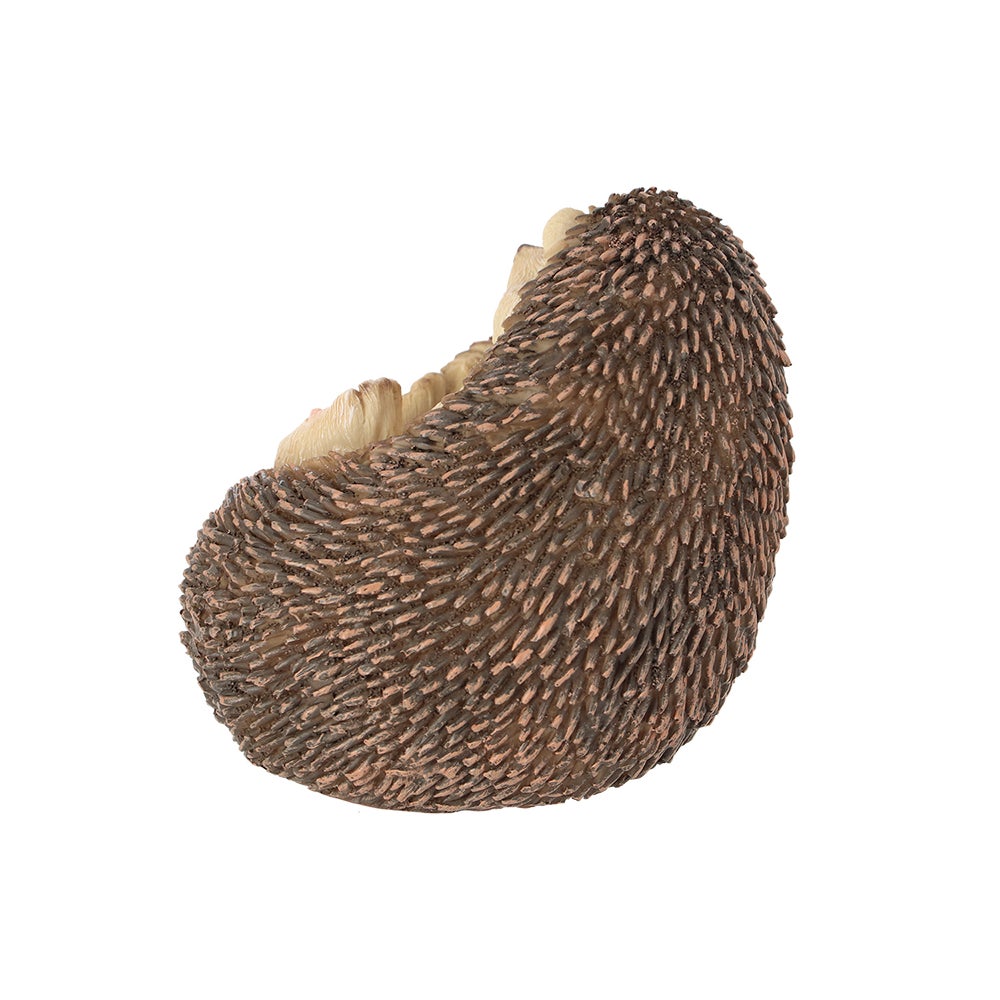 Hedgehog Lying Down With Baby