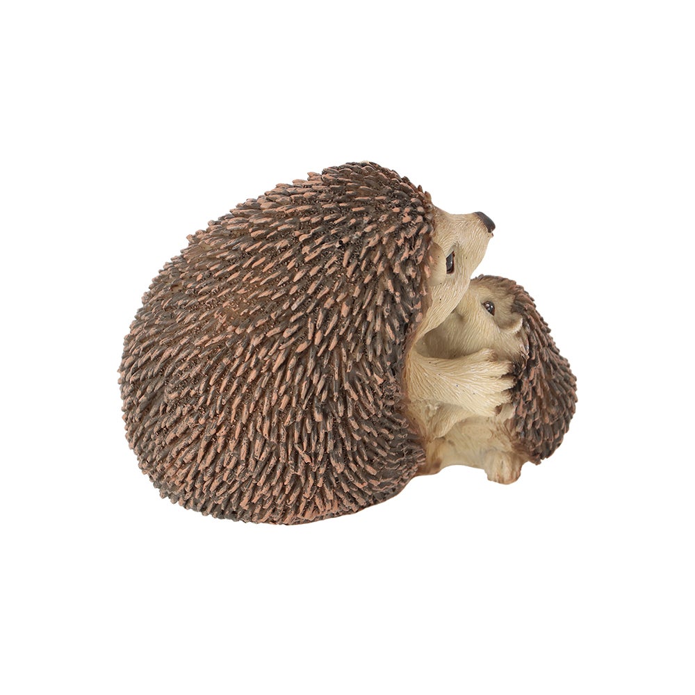 Hedgehog Lying Down With Baby