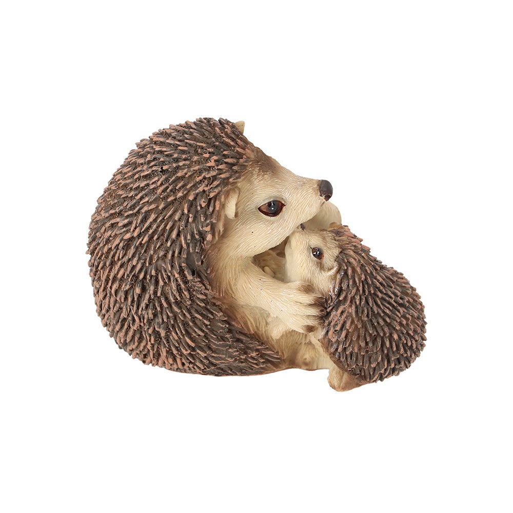 Hedgehog Lying Down With Baby