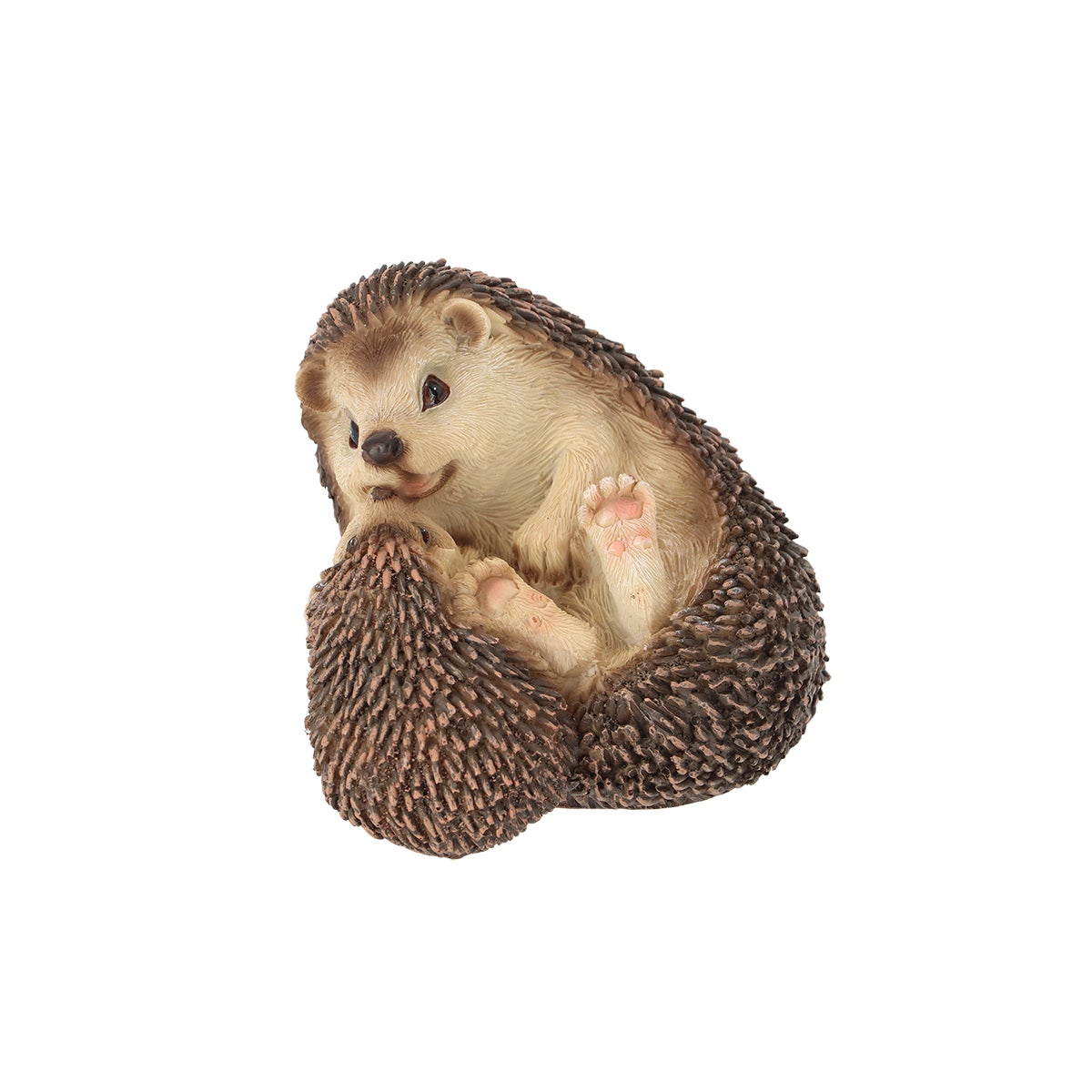 Hedgehog Lying Down With Baby