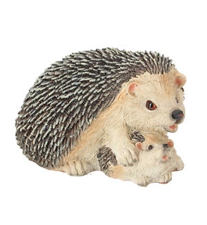 Hedgehog With Baby