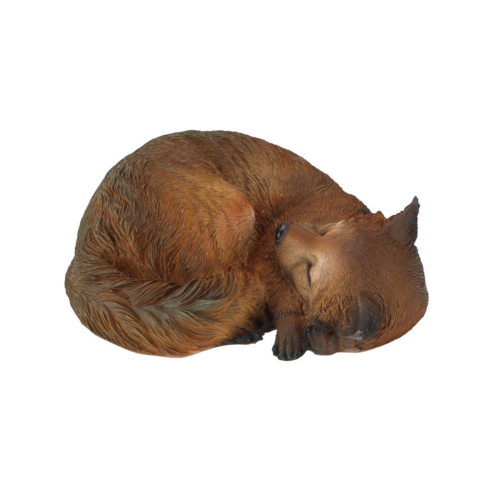 Fox Sleeping L