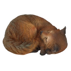 Fox Sleeping L