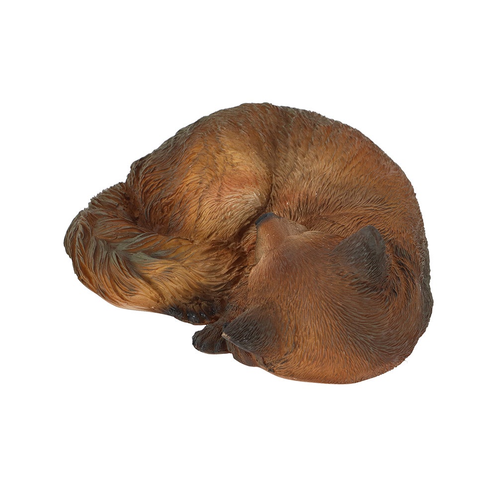 Fox Sleeping L