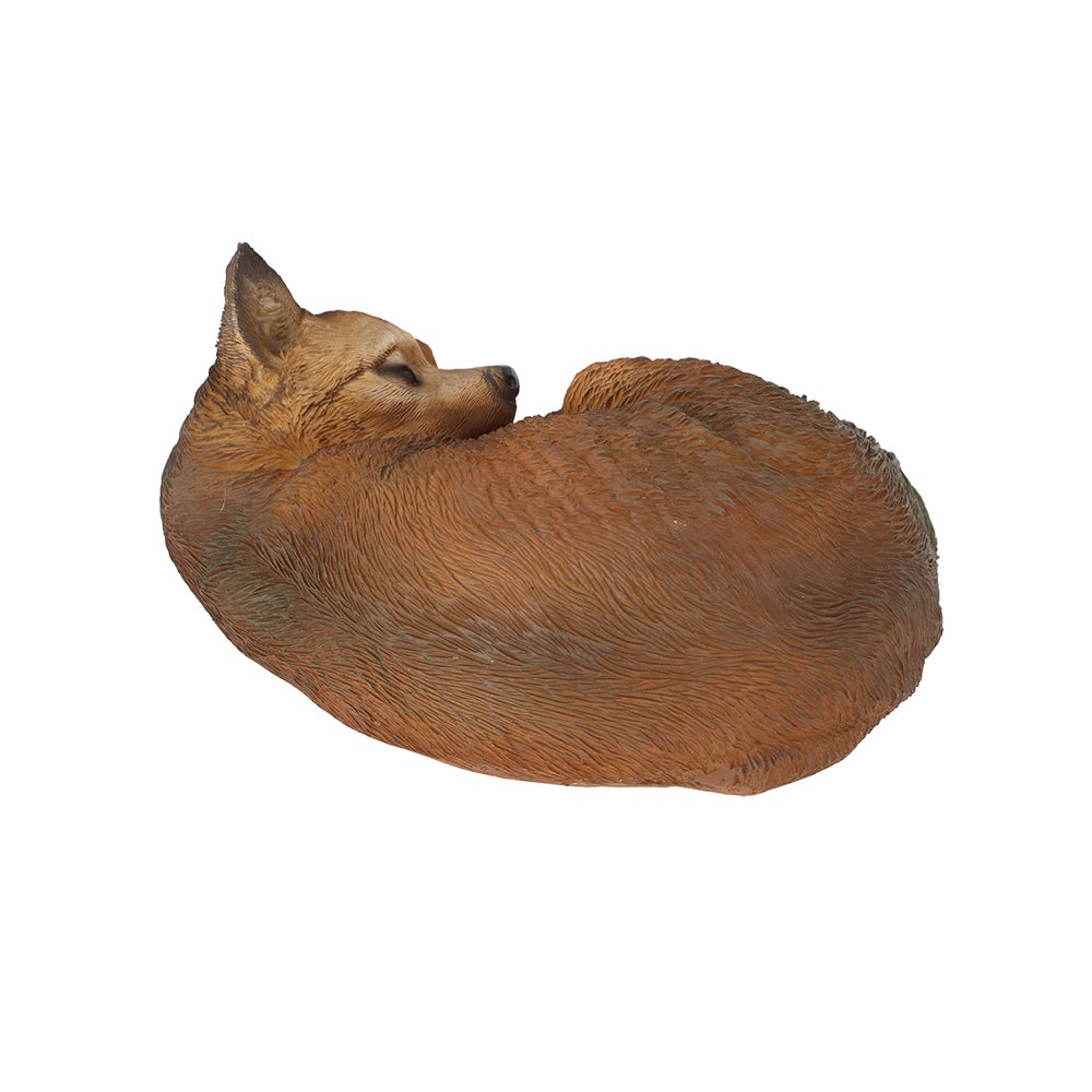 Fox Sleeping L