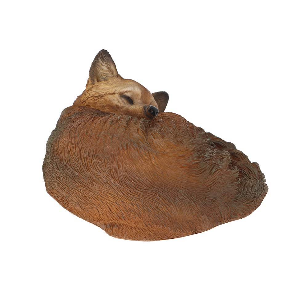 Fox Sleeping L
