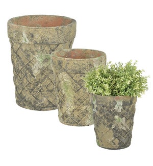 AC flower pot set of 3 moss