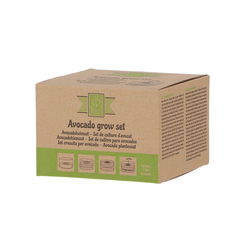 Avocado Grow Set