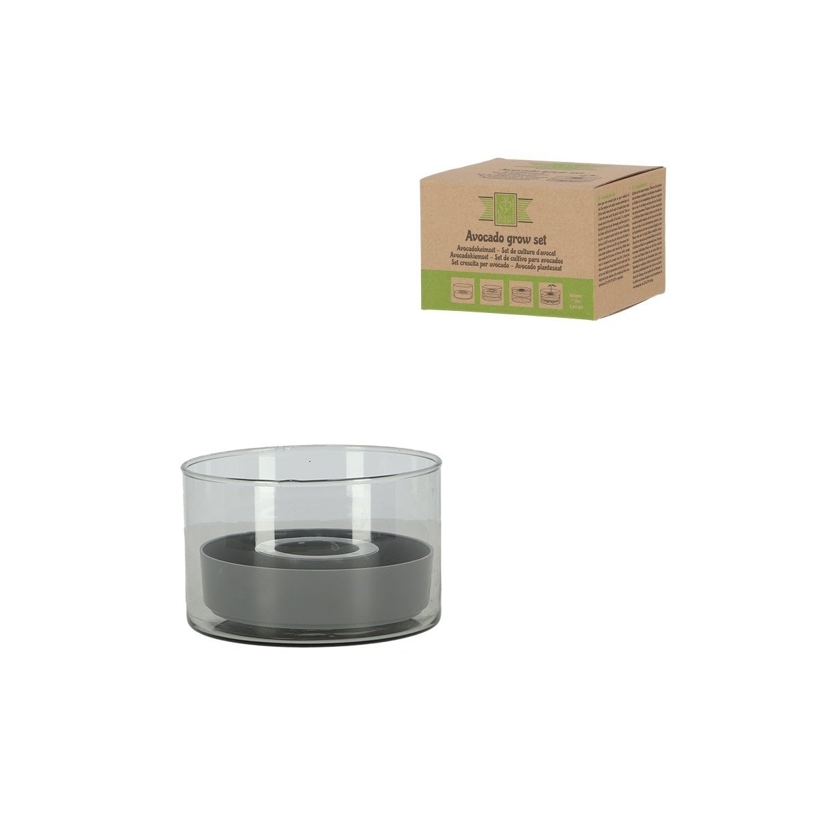 Avocado Grow Set
