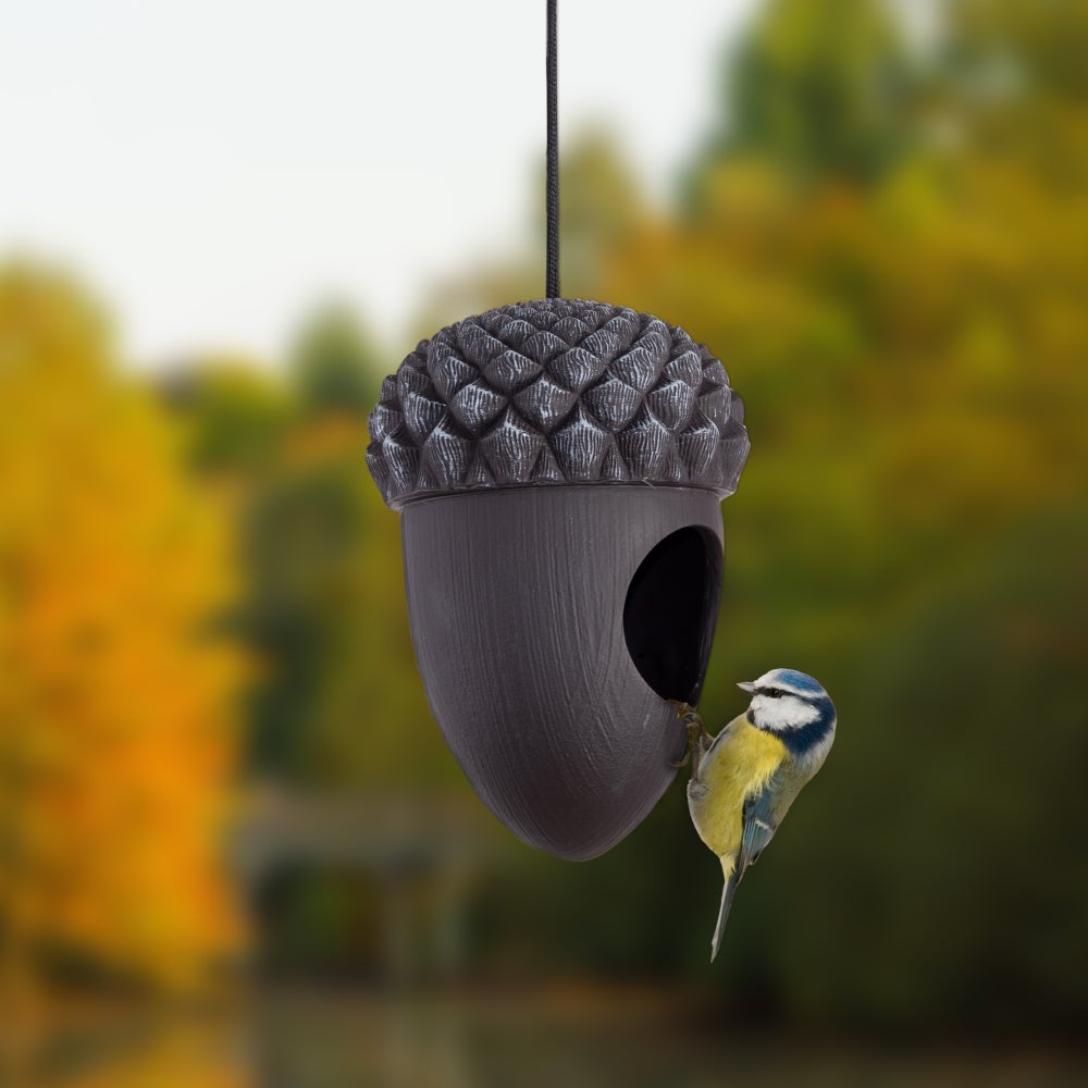 Acorn Feeder