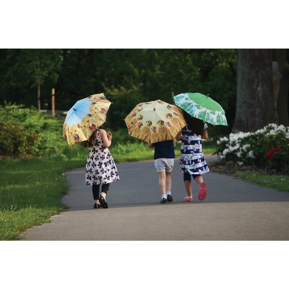 Children Umbrella Farm Animals