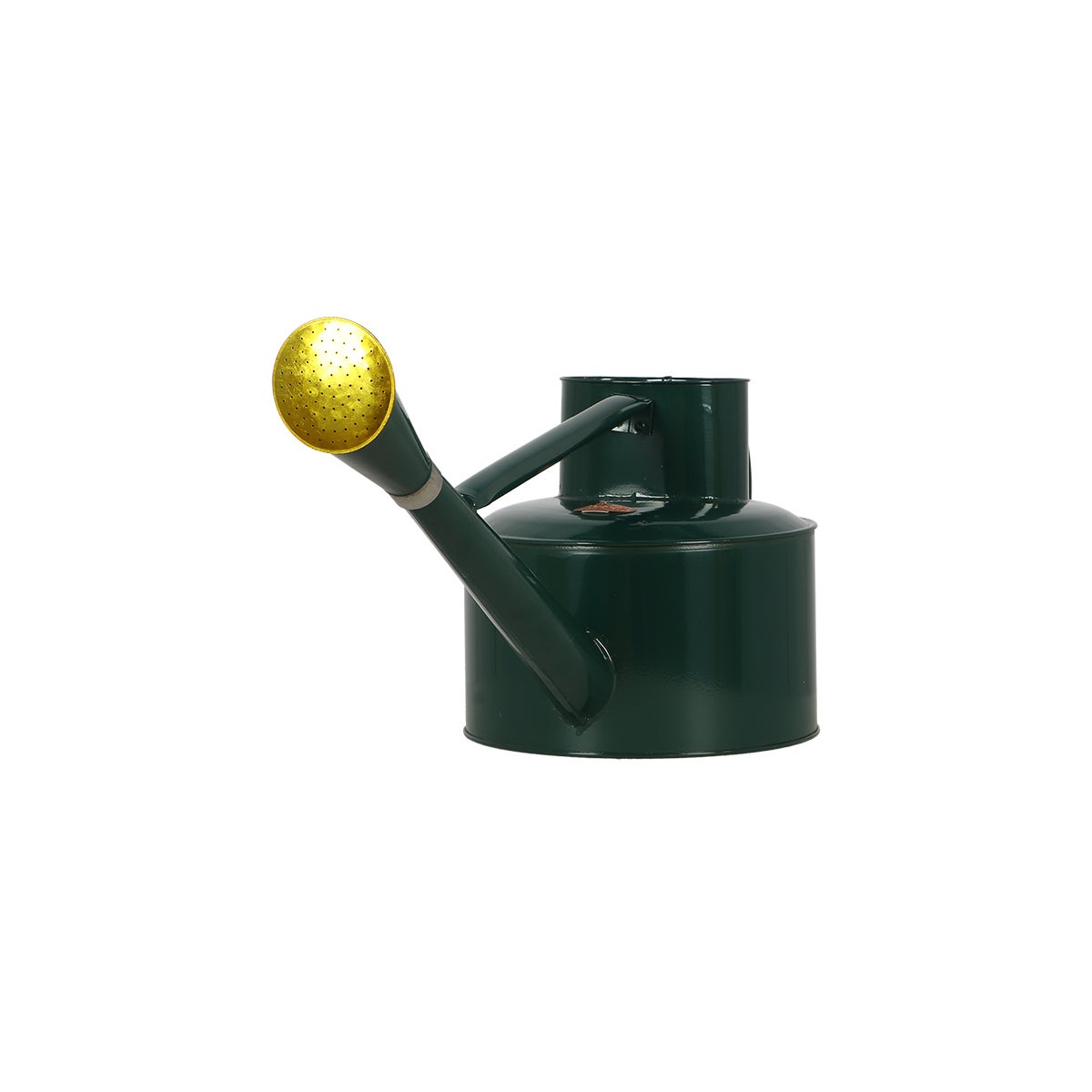 Watering Can Green 5L